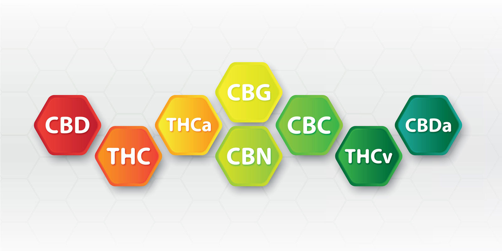 Cannabinoid chart in Ireland and a list of Major Cannabinoids in Ireland’s CBD products