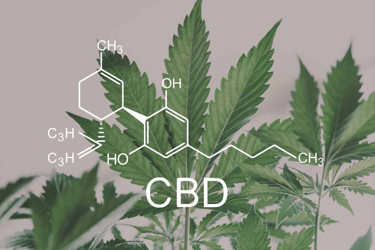 CBD Molecule found in Full Spectrum CBD Oil - Full Circle Hemp Ireland